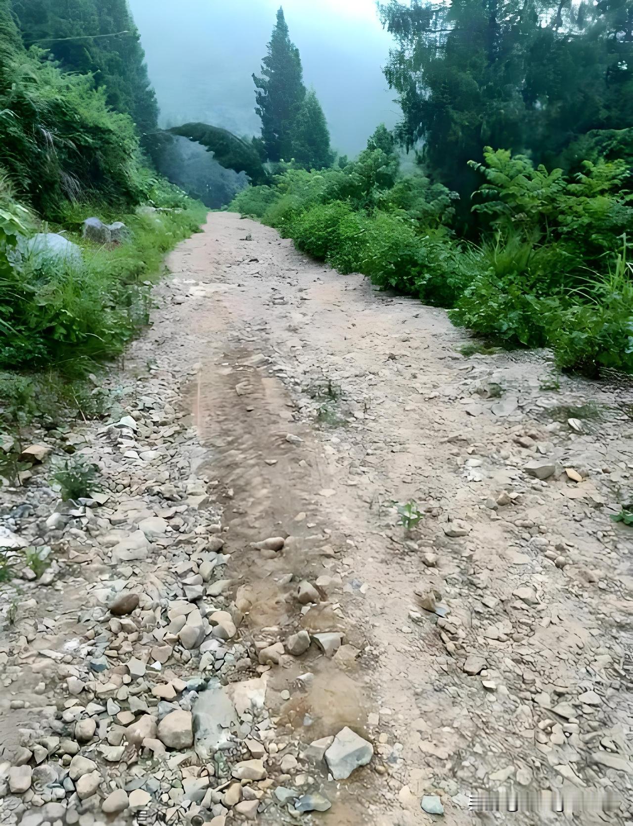 那段路，令我永生难忘！
       昨天回乡下老家时，我开车特意绕了一小段路，