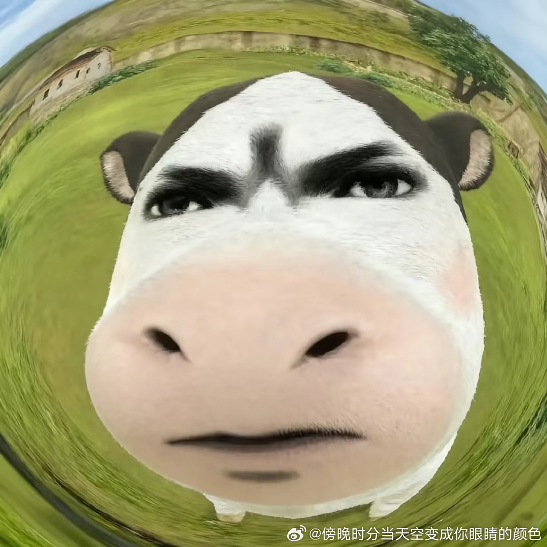 重新🐏铁了都来和我老铁一下 