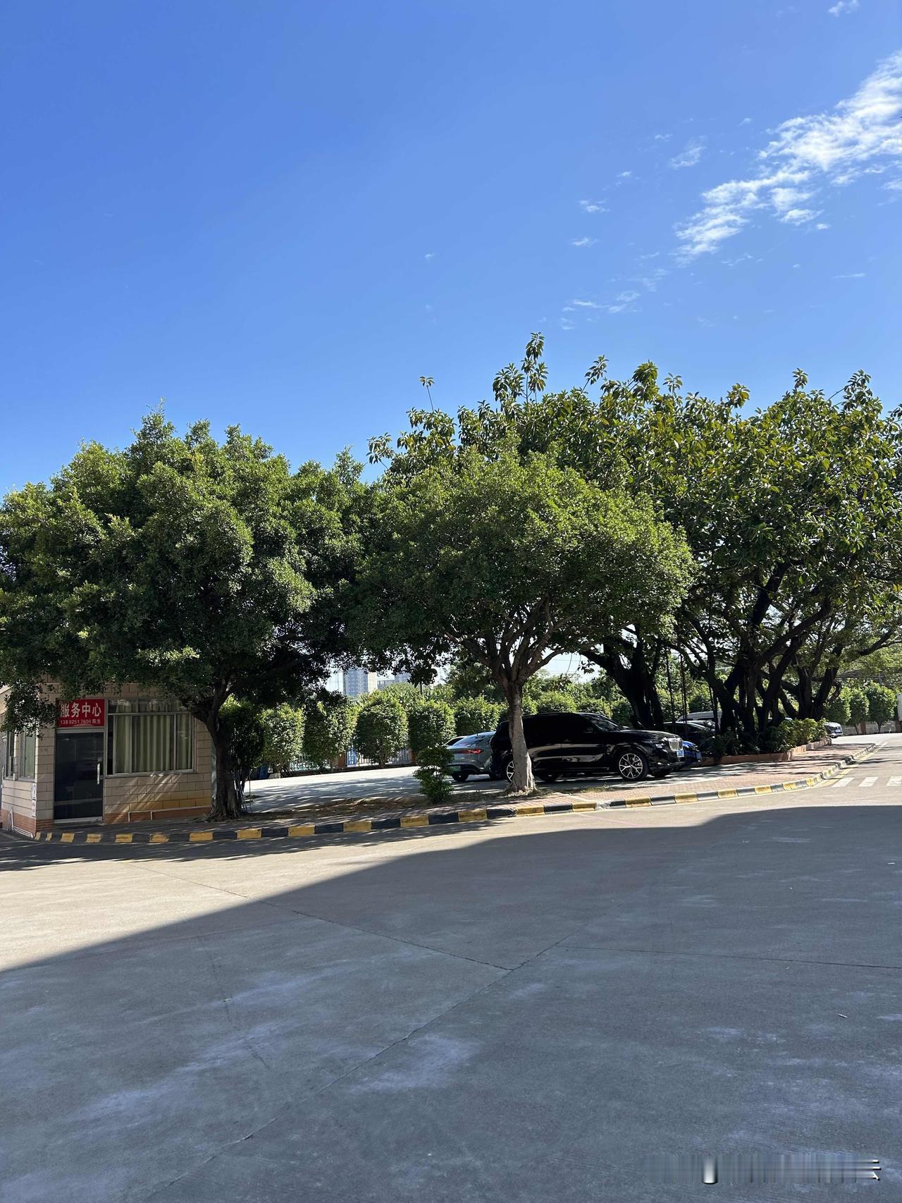 衡量一个人的到底脑子清不清醒，

不是看他赚了多少钱，也不是看他做事情最后的结果