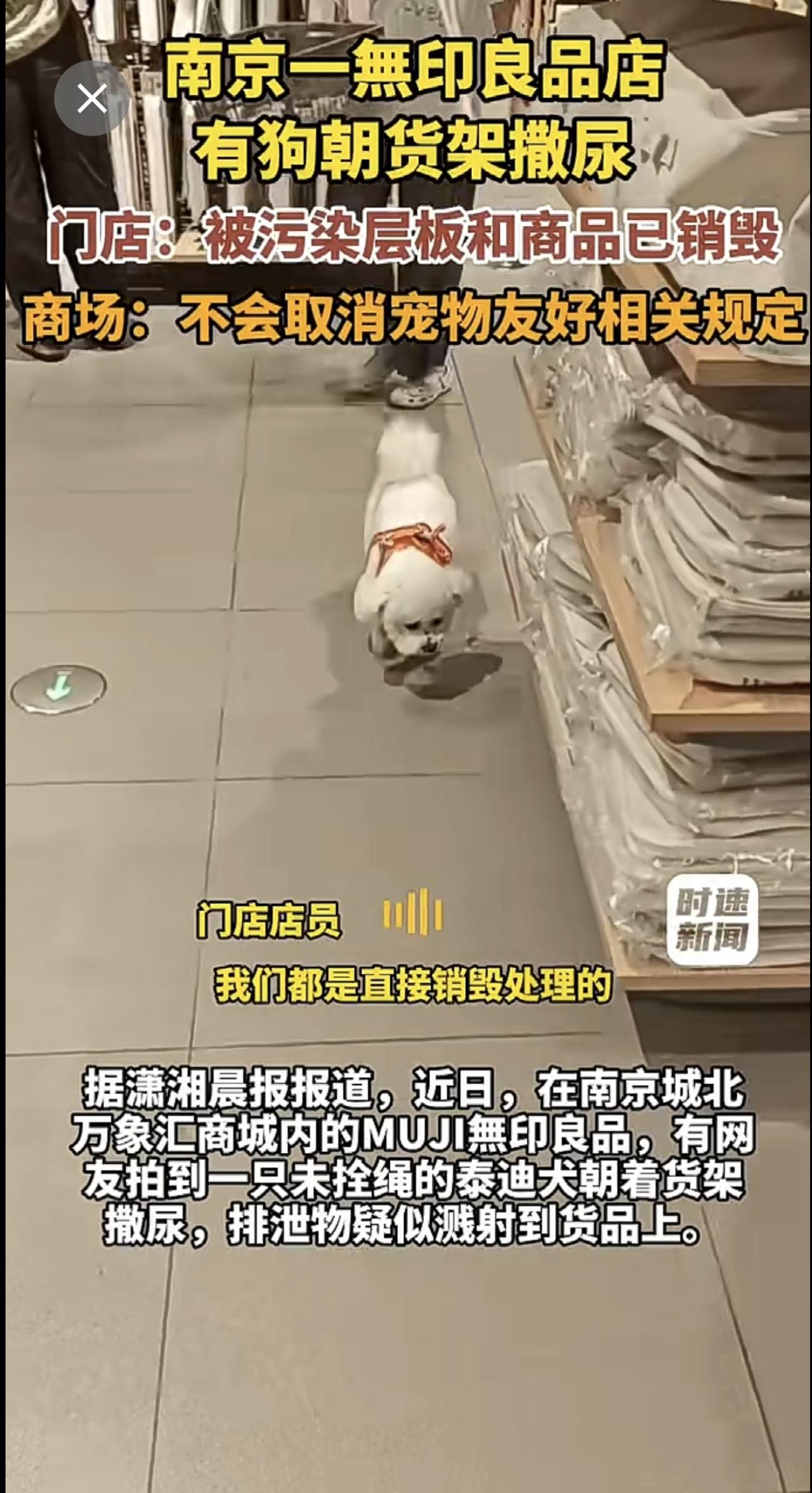 南京一無印良品店，有狗朝货架撒尿。门店：被污染层板和商品已销毁。商场：不会取消宠