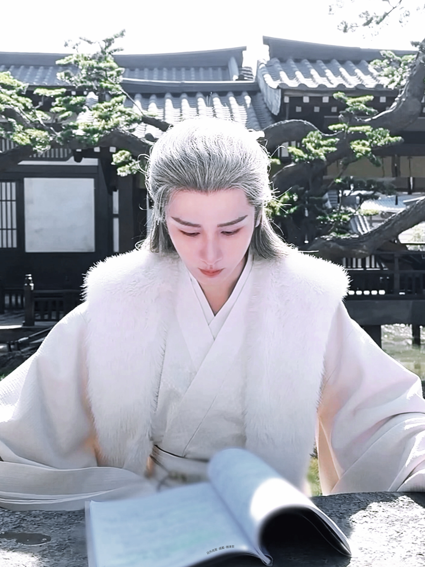 是坠入人间的白狐长安二十四计  | 成毅  | 2025高产演员top10