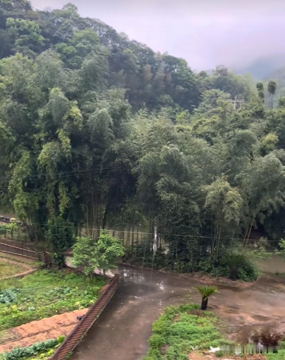 老祖宗流传千年的民间看人口诀，句句都是处世智慧，简单直白又精准，帮你快速看懂身边
