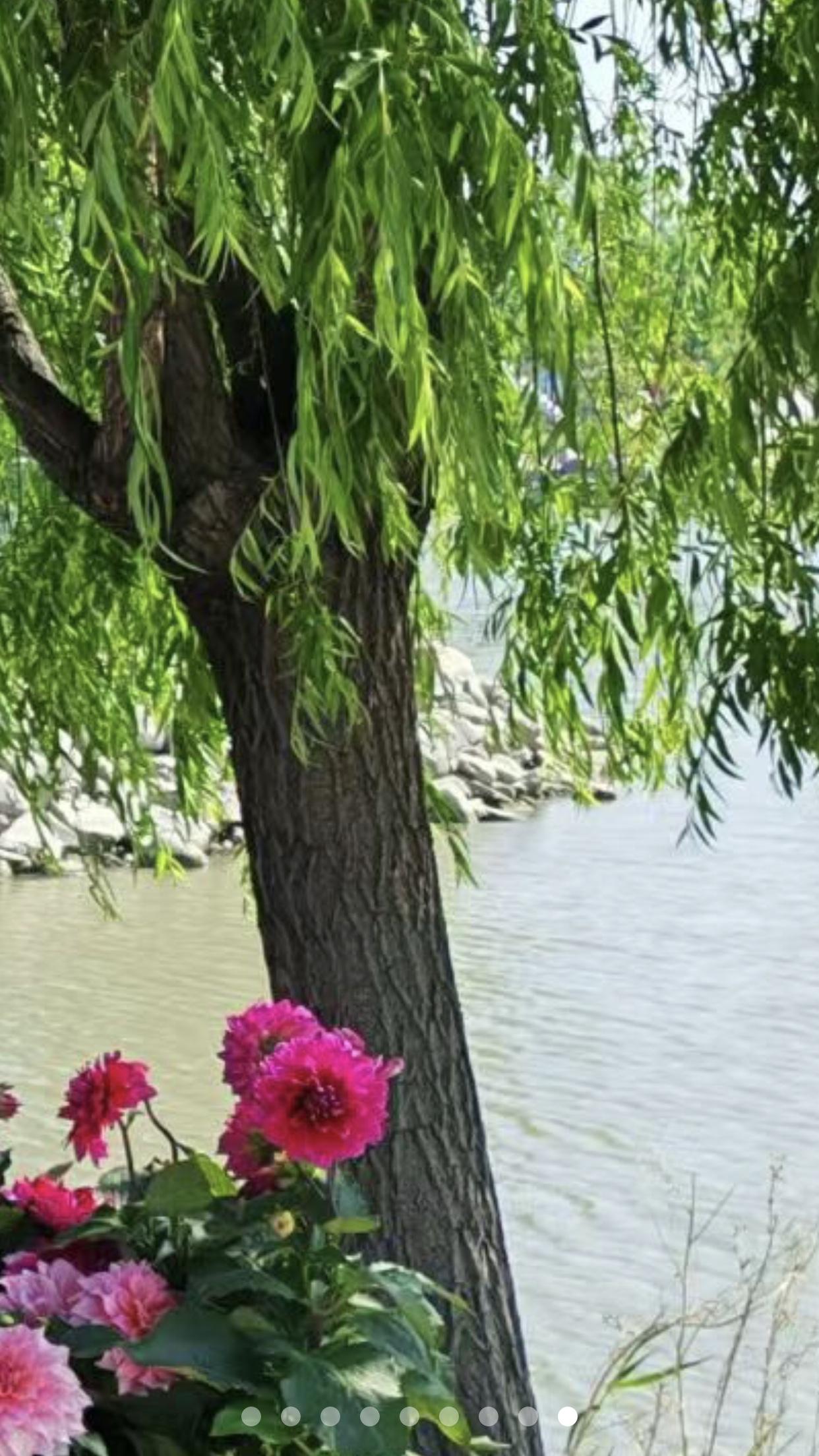 上联：煮酒西湖酬远客，安子邀对对，题诗柳岸会知音。