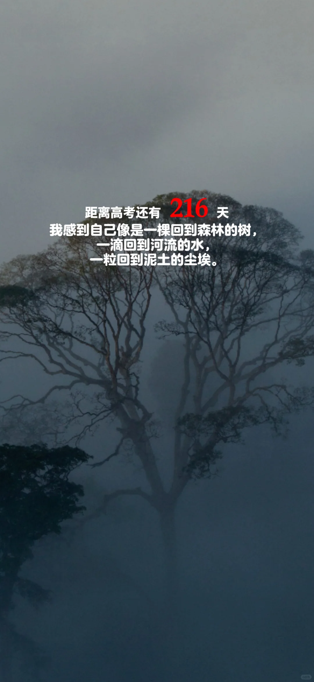 2025高考倒计时，每日更新。