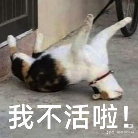 出门前，我涂了个防晒。卷毛：“今天是阴天，你涂什么防晒。”昊：“阴天也有suv啊