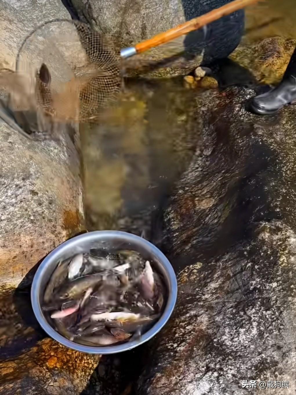 俗话说，靠山吃山靠水吃水，这句话真实有效，咱就看这位大哥到底有多“牛”。大哥就随