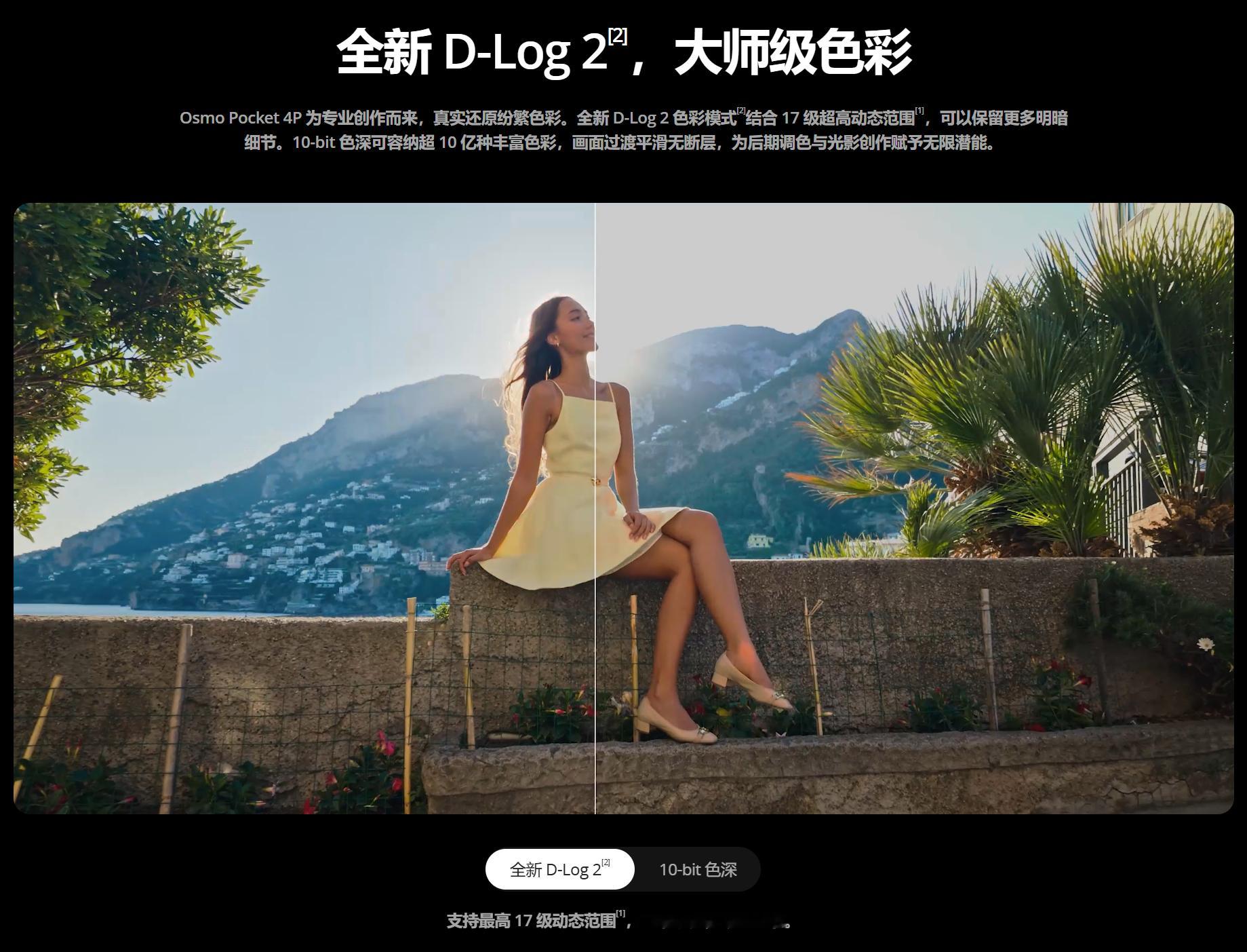 可能大疆也没想到：都是只有广角支持Lofic，手机好像没怎么被骂，而抱怨4P的人