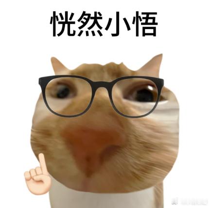 换手机之后重新下载了洋钱罐，登录的时候收验证码等了好一会儿都没收到，给我气的。后