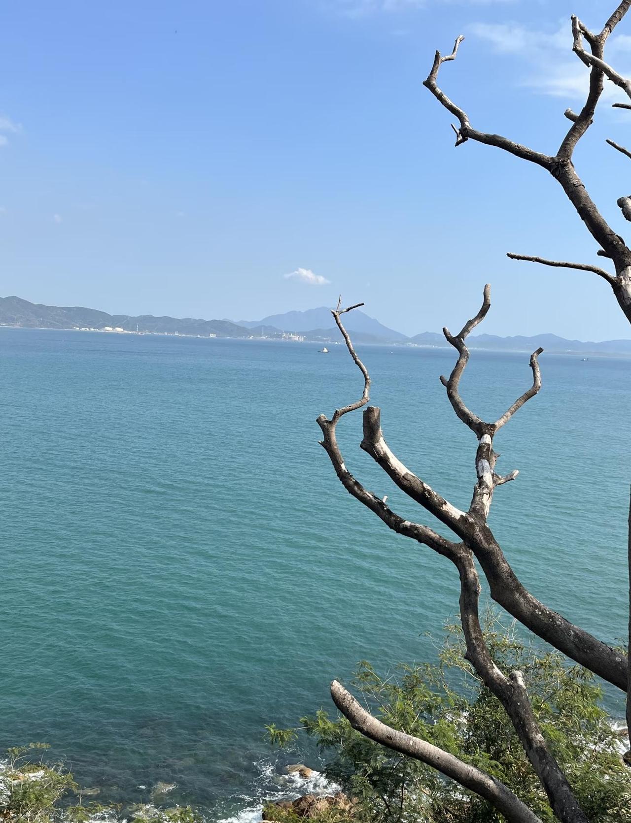 今日被深圳的海征服！
🚇 交通&补给全攻略
• 公共交通：地铁8号线“溪涌站”