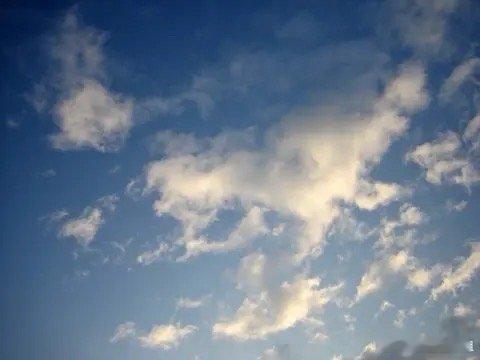 西部红了，可以+当前市场共有37个板块呈现趋势形态，可全部纳入观察池。预计资金将