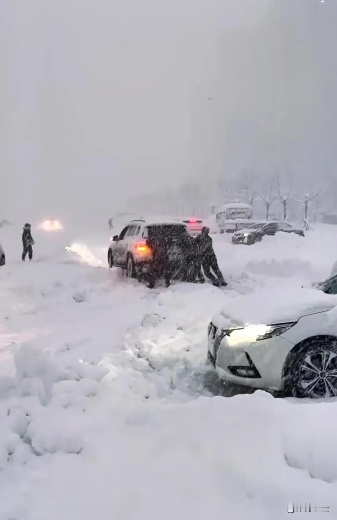今日大雪下的够大的，车子开不动，老家大雪纷纷飞……