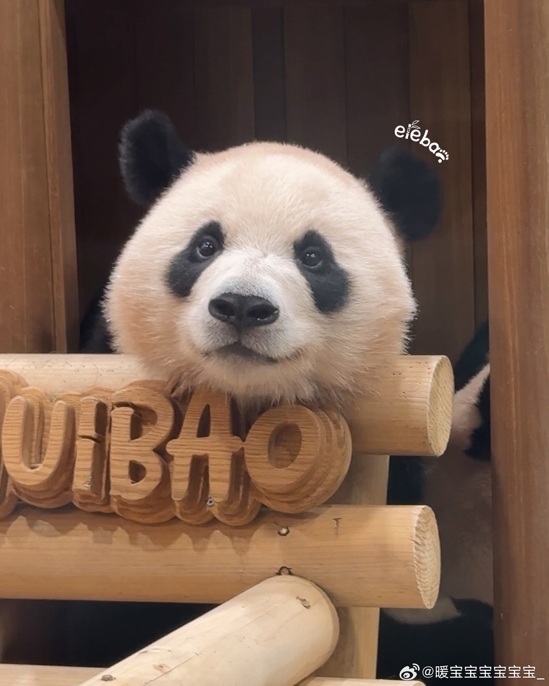 每天早起打卡早上好鸭～ 