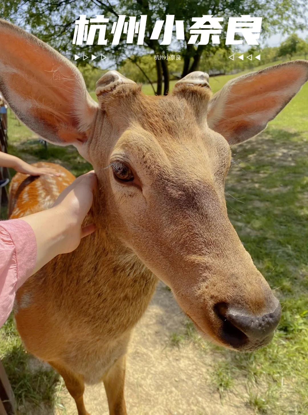 杭州｜游玩｜余杭区｜良渚古城遗址公园