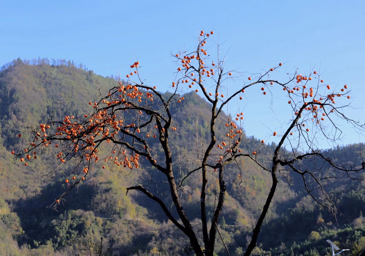 一路山色，随手拍一张风景照冬日恋歌