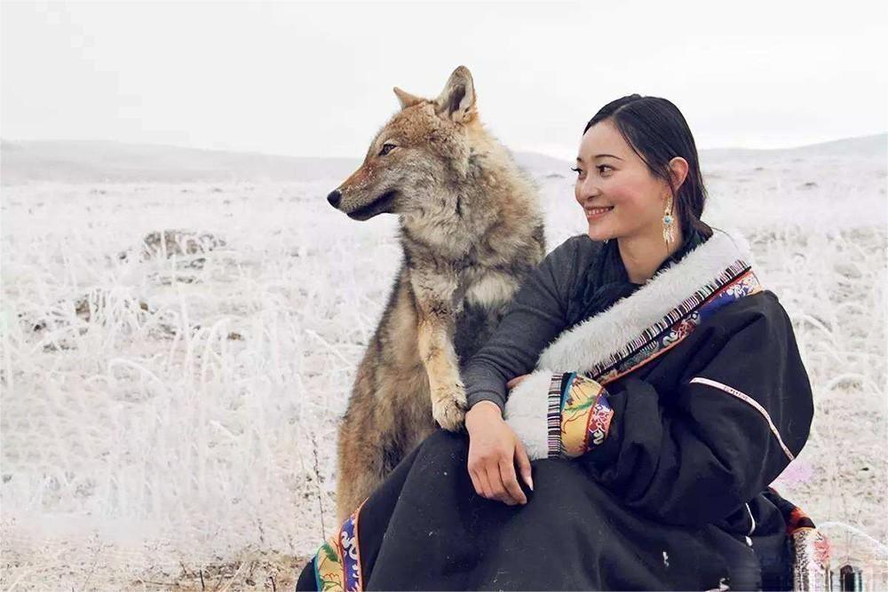 2010年，四川女孩在草原上偶然救下一只小狼崽，将它带回家认了“儿子”，10年后