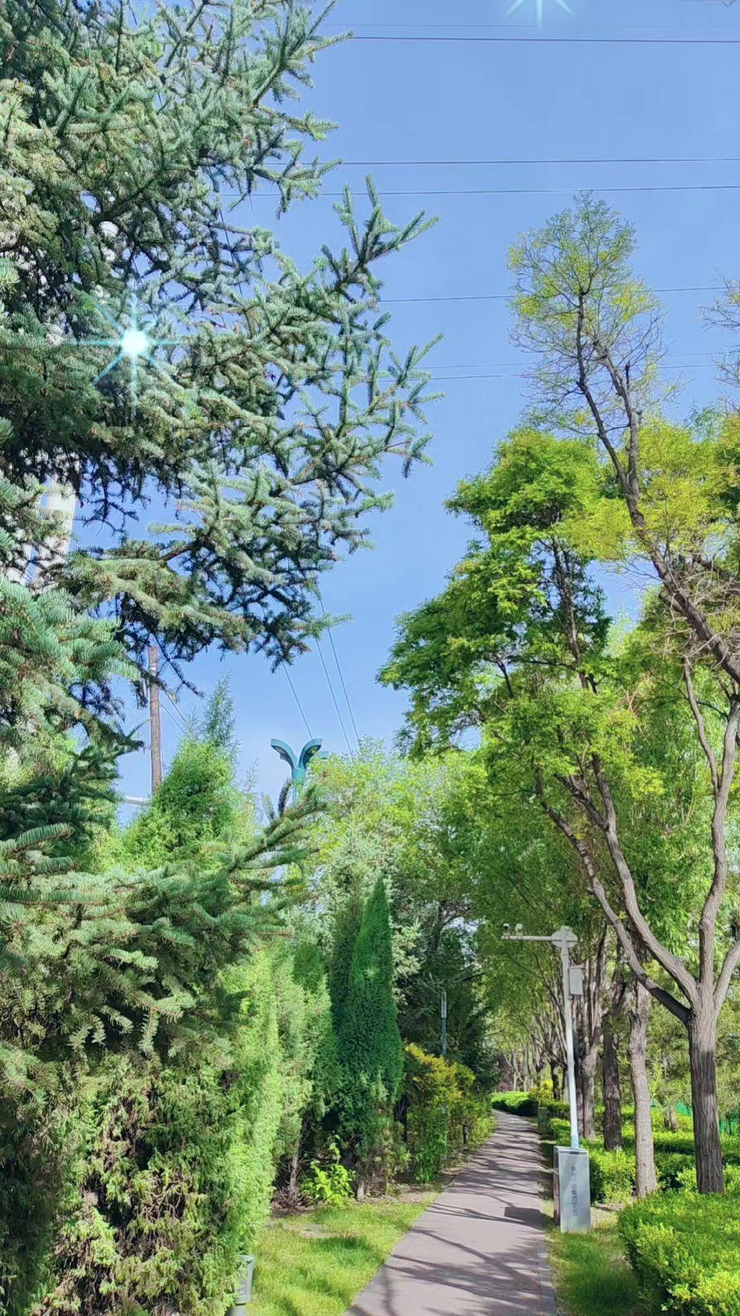 你要修炼到表面不和任何人翻脸但内心可以和任何人再见…