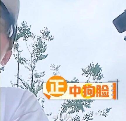 十个勤天我真的太爱这个后期花字了哈哈哈哈哈已更新哈哈哈哈哈哈十个勤天‖种地吧‖你