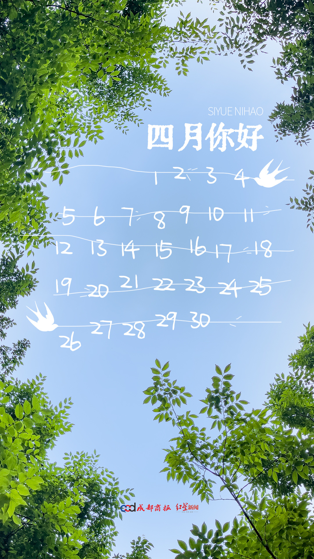 【你好4月！#一条plog迎接四月#】春光正盛，万物竞发。最美人间四月天，你会和