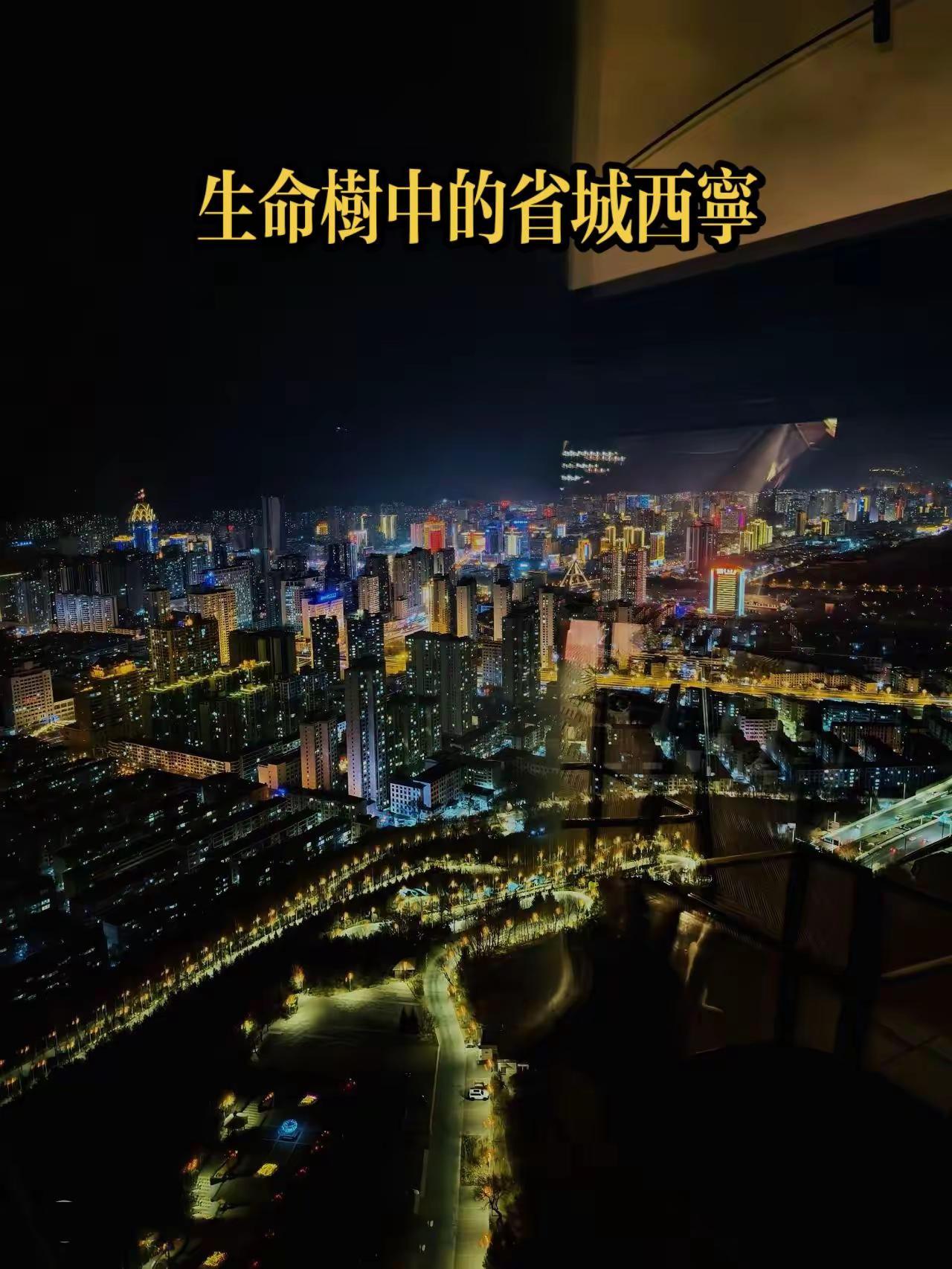 生命树西宁市可可西里青海湖