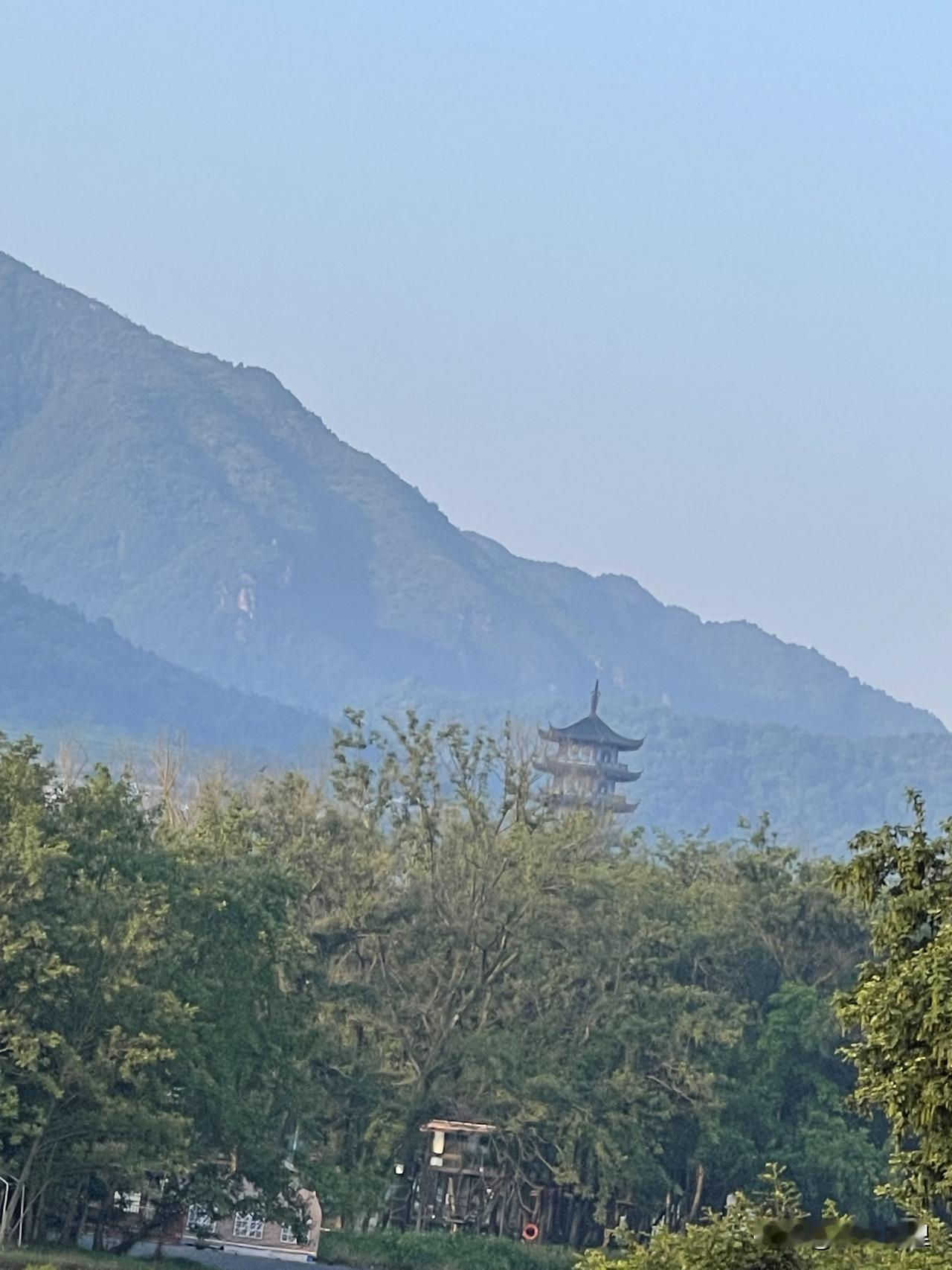 夏日爱好打卡