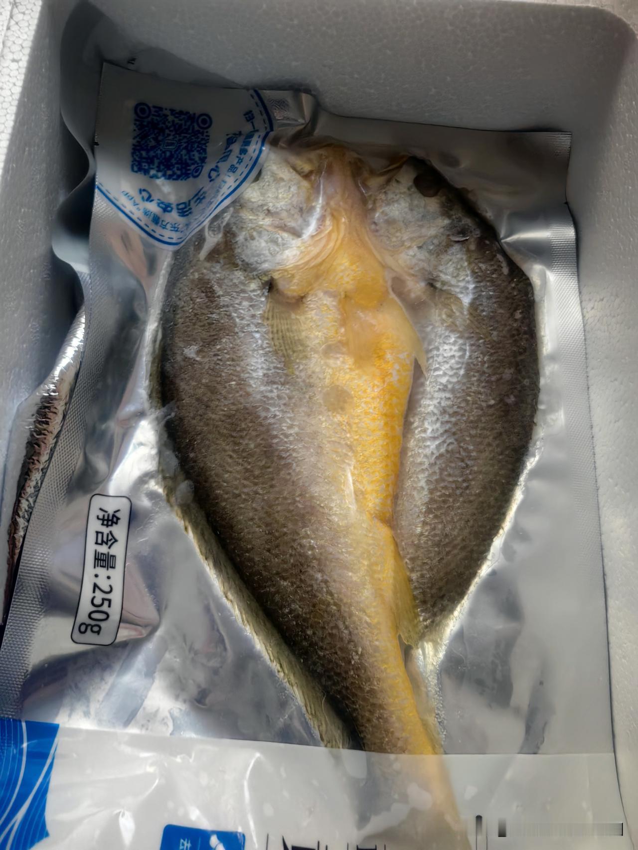 不知道是哪位好心人给寄的鱼，在这里发一下，谢谢好心人，也谢谢所有帮助过我的好心人