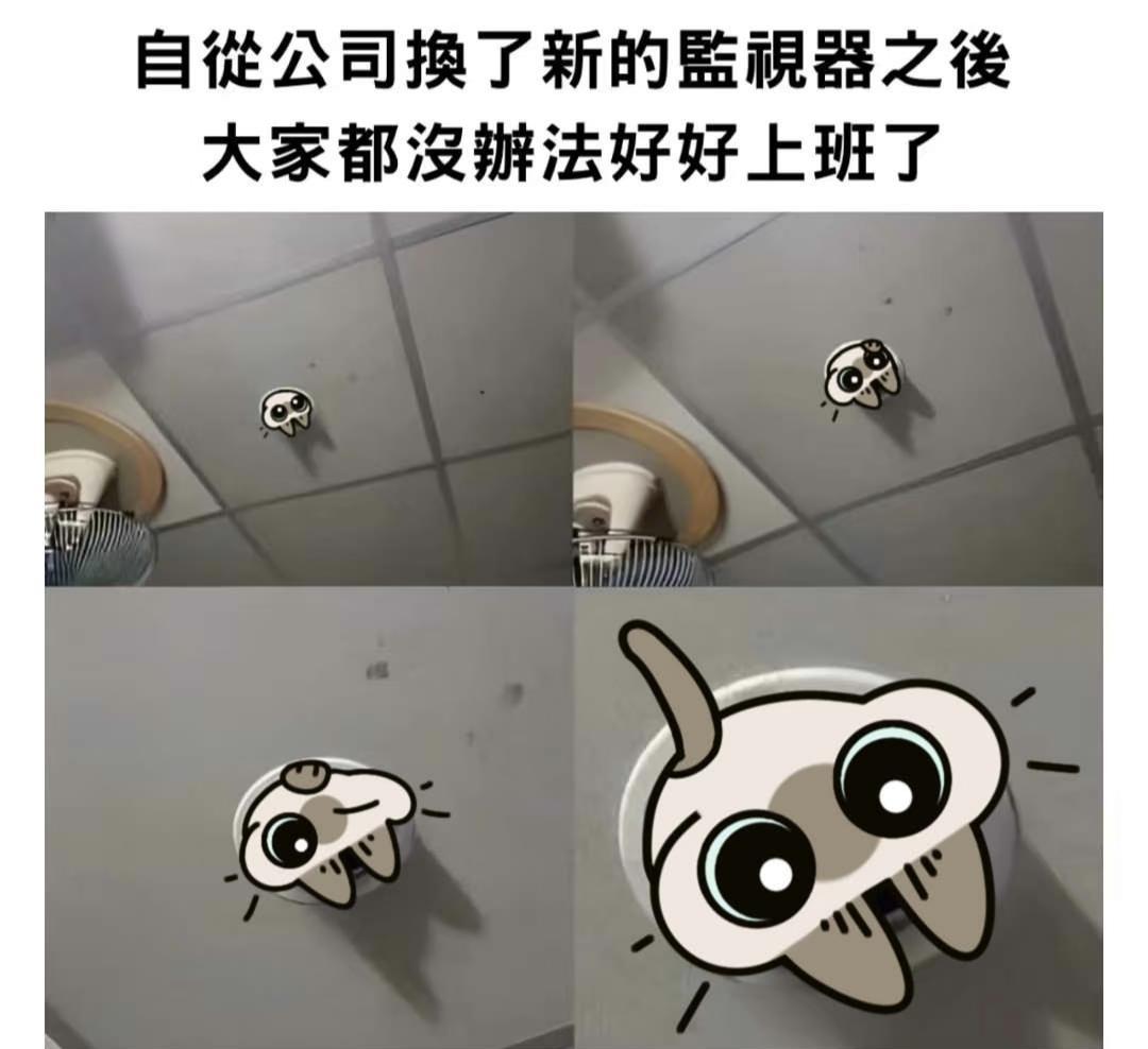 小泥小泥降临在我手心！（物理性质
豆泥梗图316/1000
	
梗图 小豆泥 猫