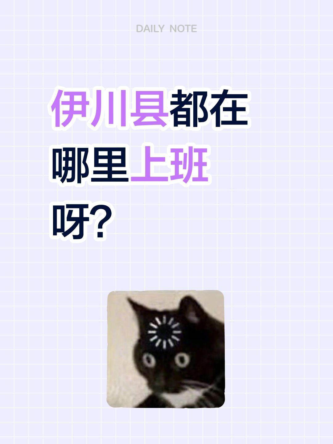 伊川县都在哪里上班呀？