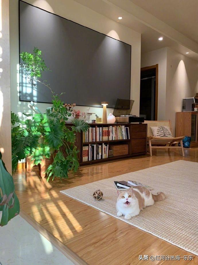 北京楼市的小阳春以价换量的还是比较明显的。
虽然说很多北京房产中介一个劲的说北京