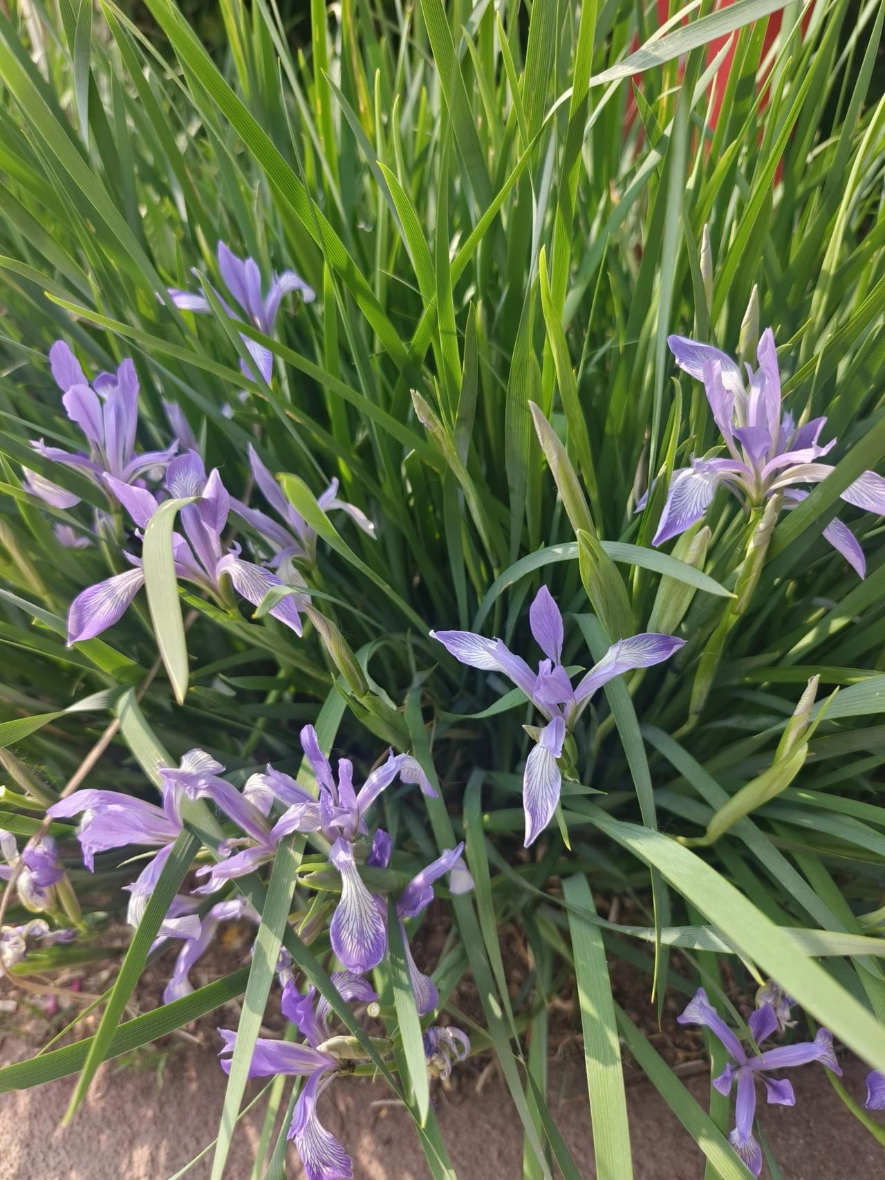 原来真有一种感情，一天没有联系就坐立不安。
要是到了晚上睡觉的时候，依然没有收到