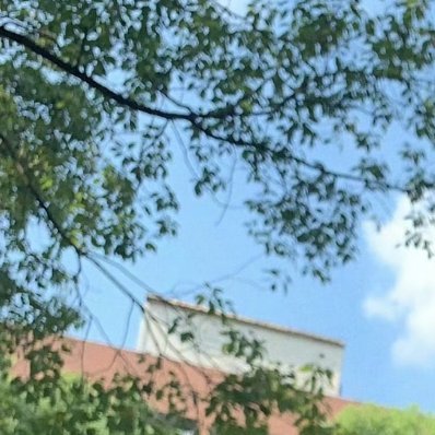 无论走到哪里，我们都要学会支撑自己，失败时给自己多一些激励，孤独时给自己多一些温