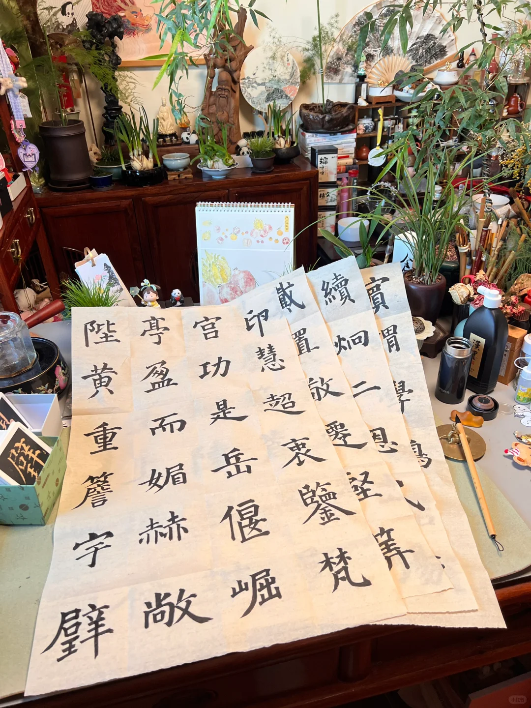 练字+听书📚这本书真的超赞