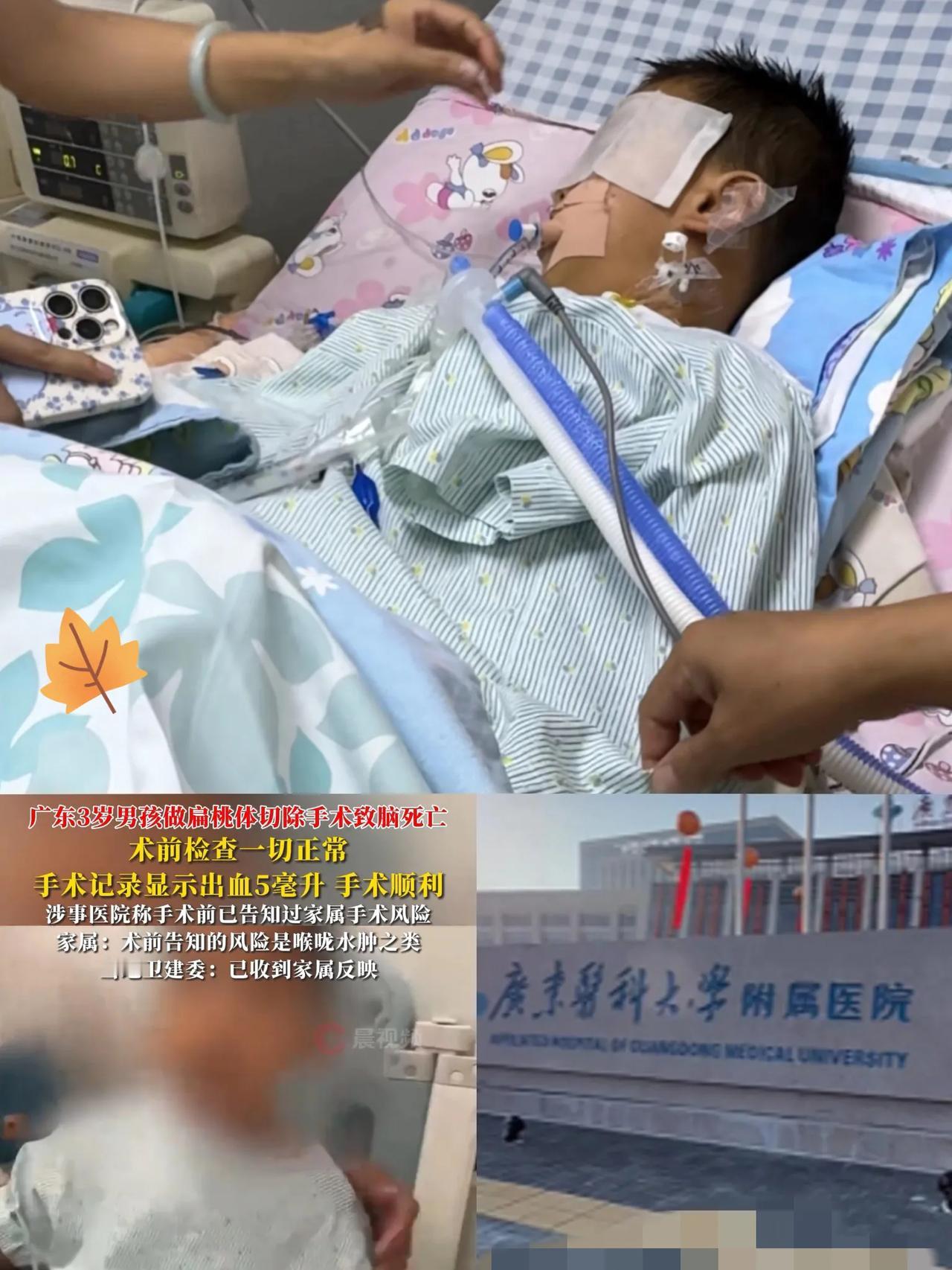 太揪心了！广东湛江，一名3岁男孩因扁桃体肥大住进医院，原以为只是个小手术，家长全