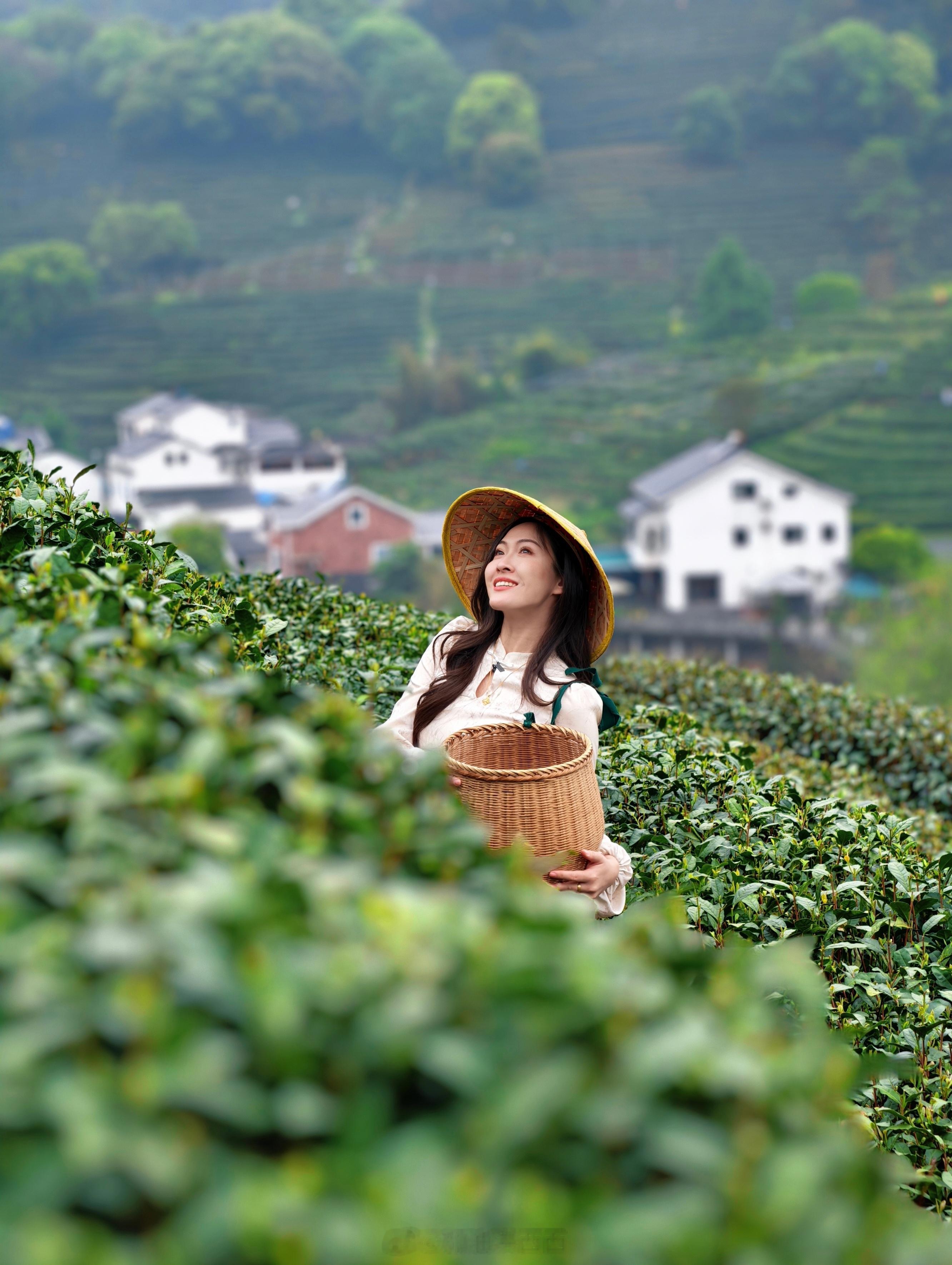 采茶小妹上线啦，你们平常喜欢喝什么茶？西西出街