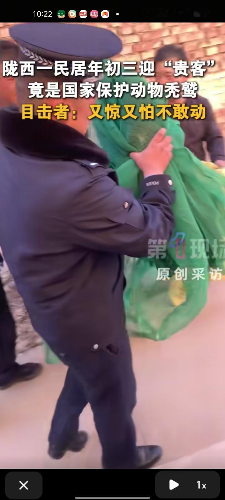 2月16日，定西市陇西县。网友晒视频称，家里来了位“不速之客”，竟是国家一级保护