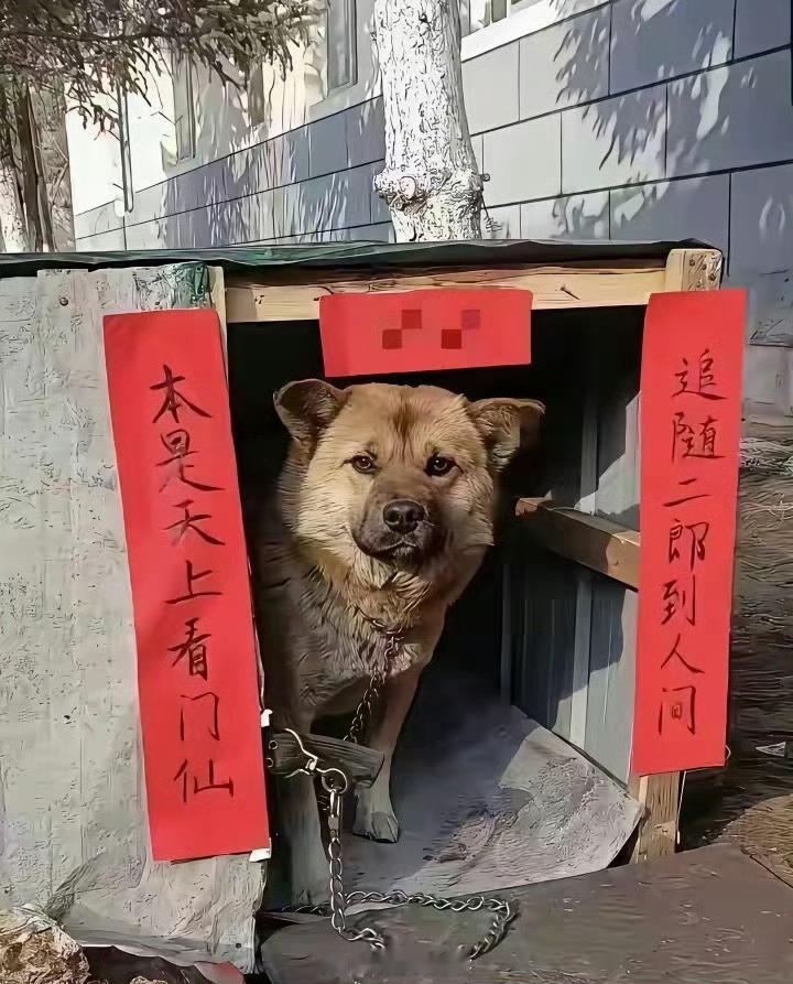 横批：天降祥瑞，你们觉得呢？ 