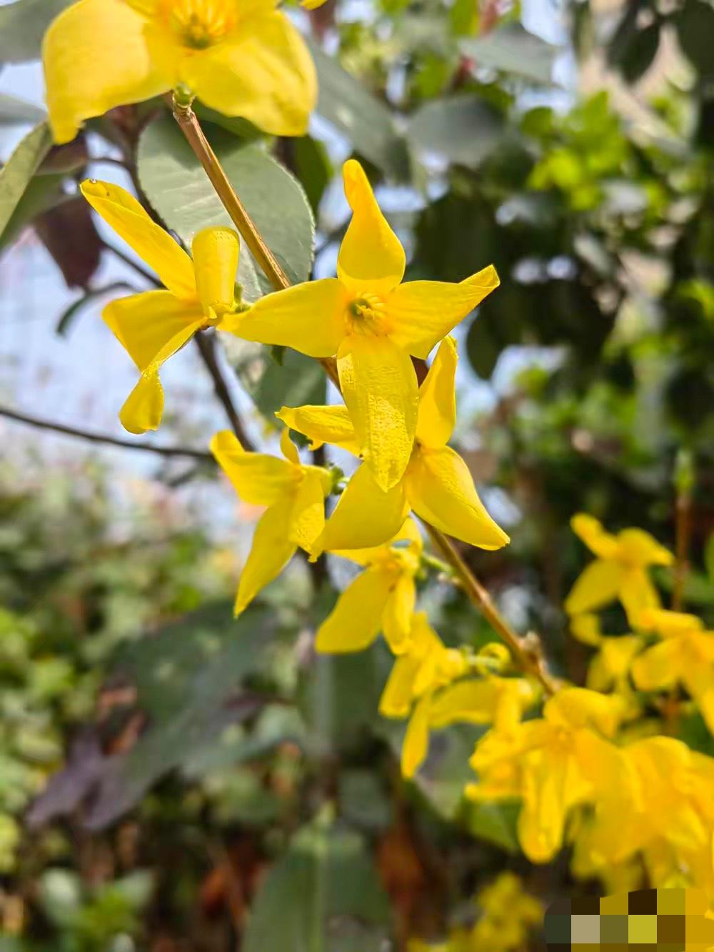 天下竟然有如此厚颜无耻之人。
小姑子带着她刚满3岁的小女儿搬回家来住了，看着鼻子