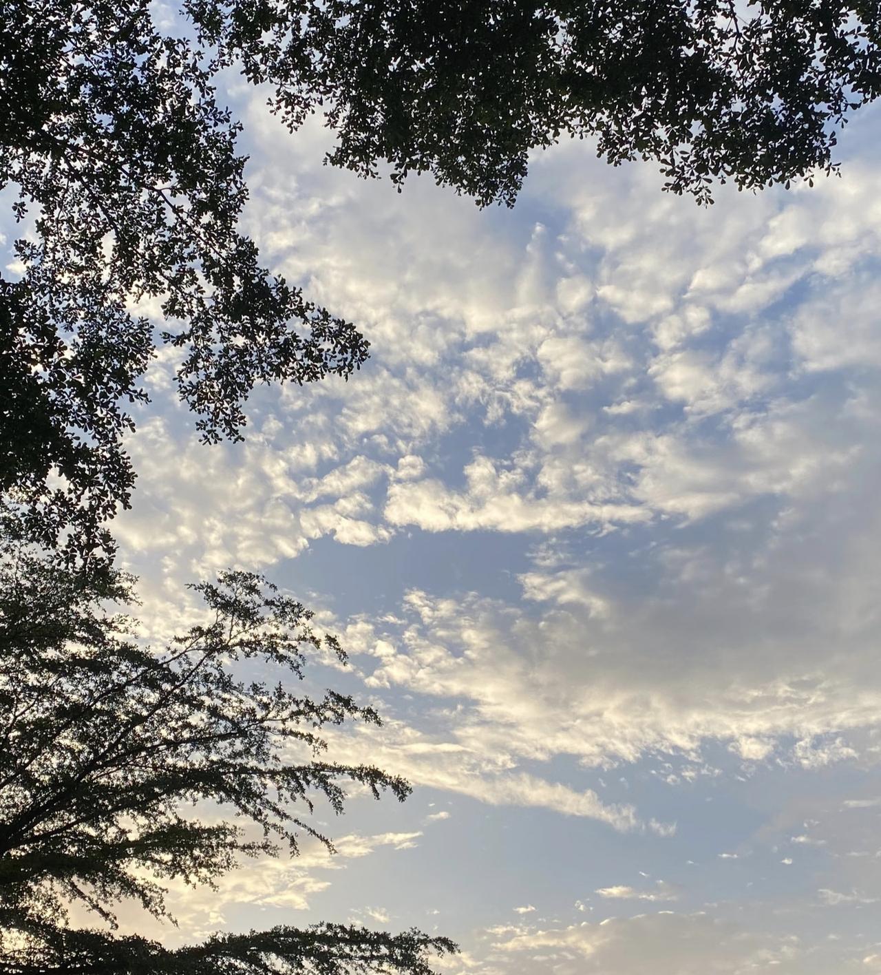 走在道路上一抬头
 今天的天空真的太令人震惊了
 喜欢的我一路不停的拍
 并不是