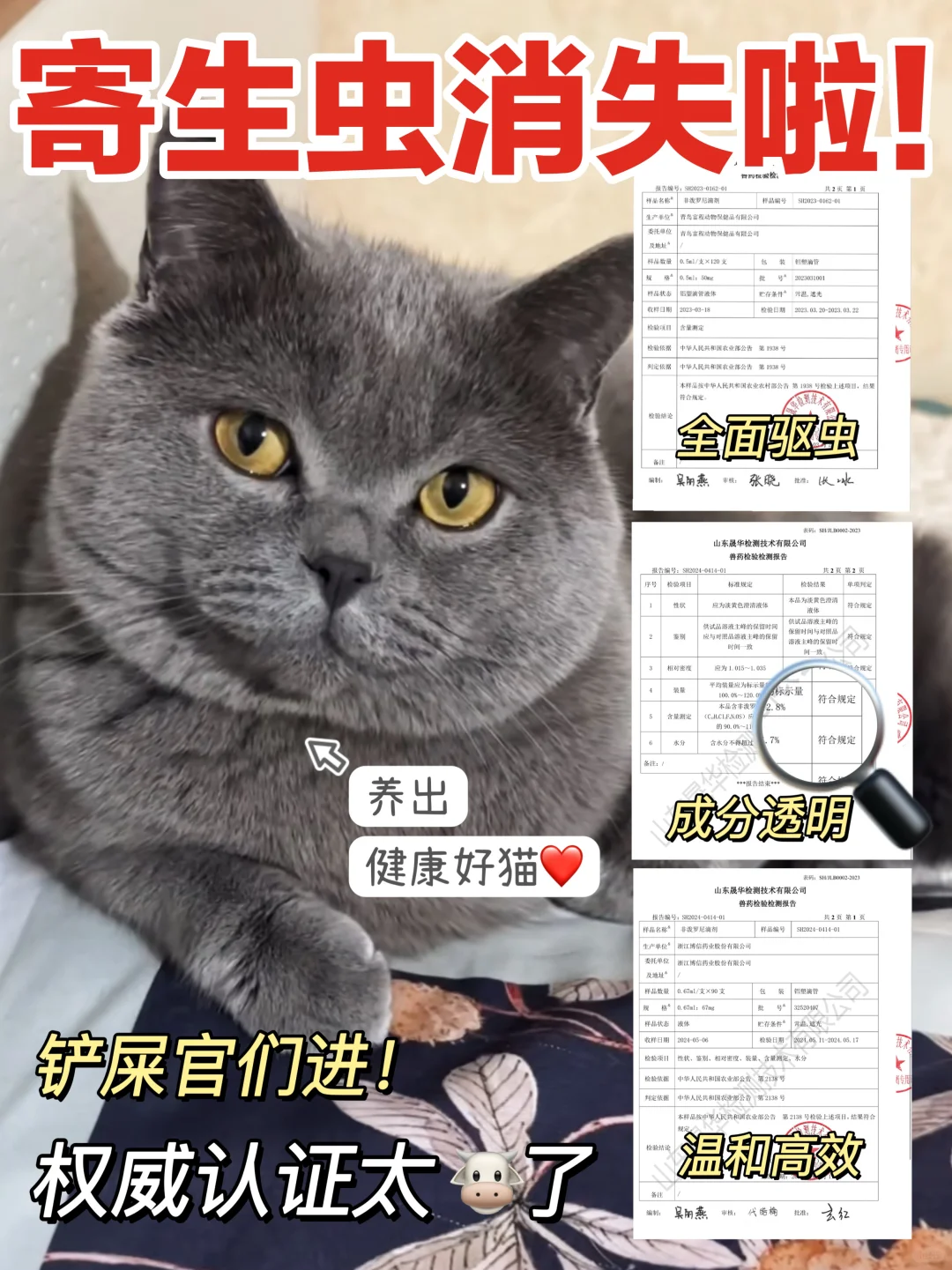 千万不要忽视猫咪感染寄生虫的危害！ 它可能会导致猫咪出现食欲不振、精神...