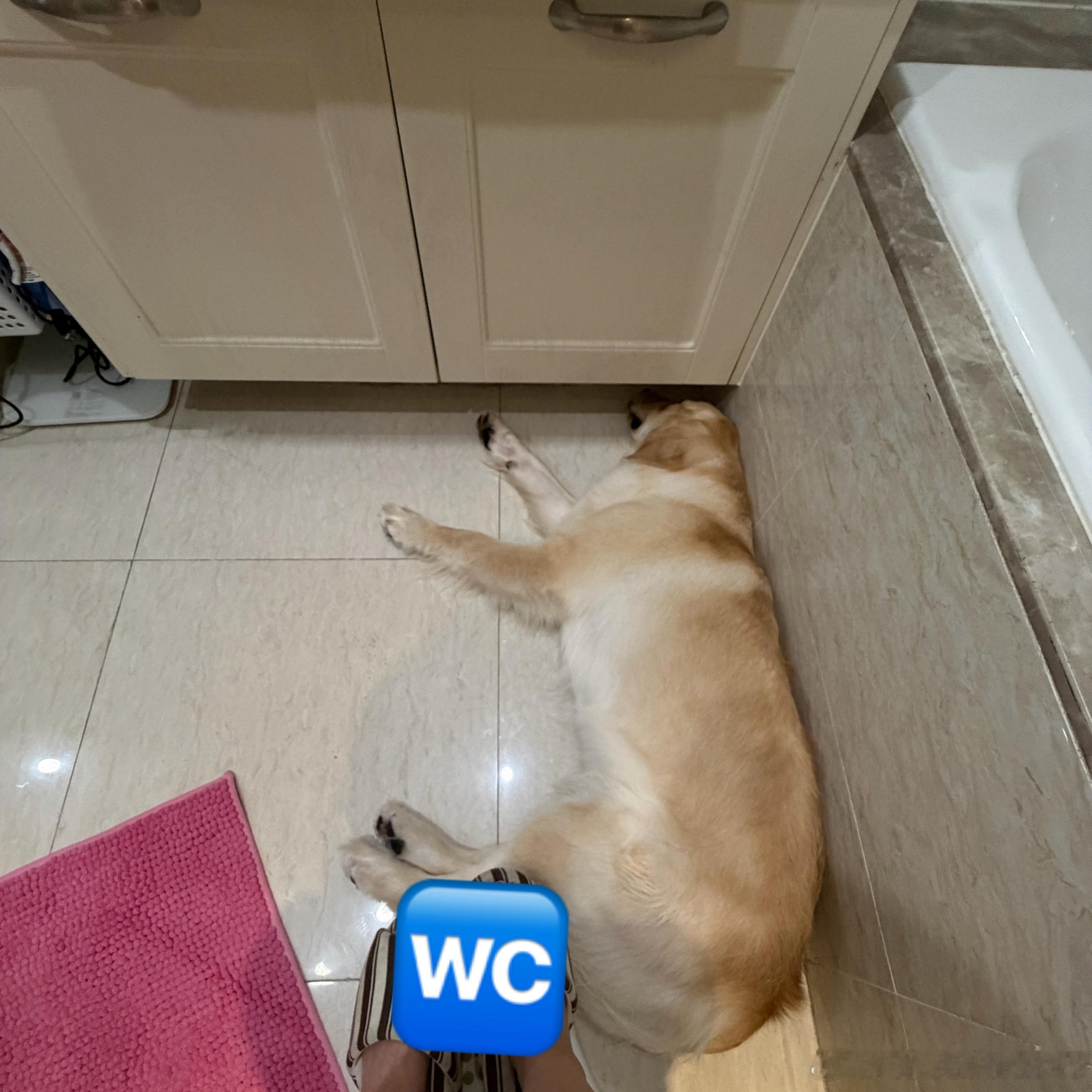 陪拉服务 