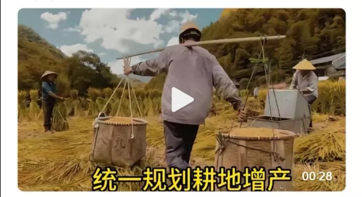 你要是不想做农民了，随时可以放弃，没人强迫你。
别整天这样设想，那样设想了。
国