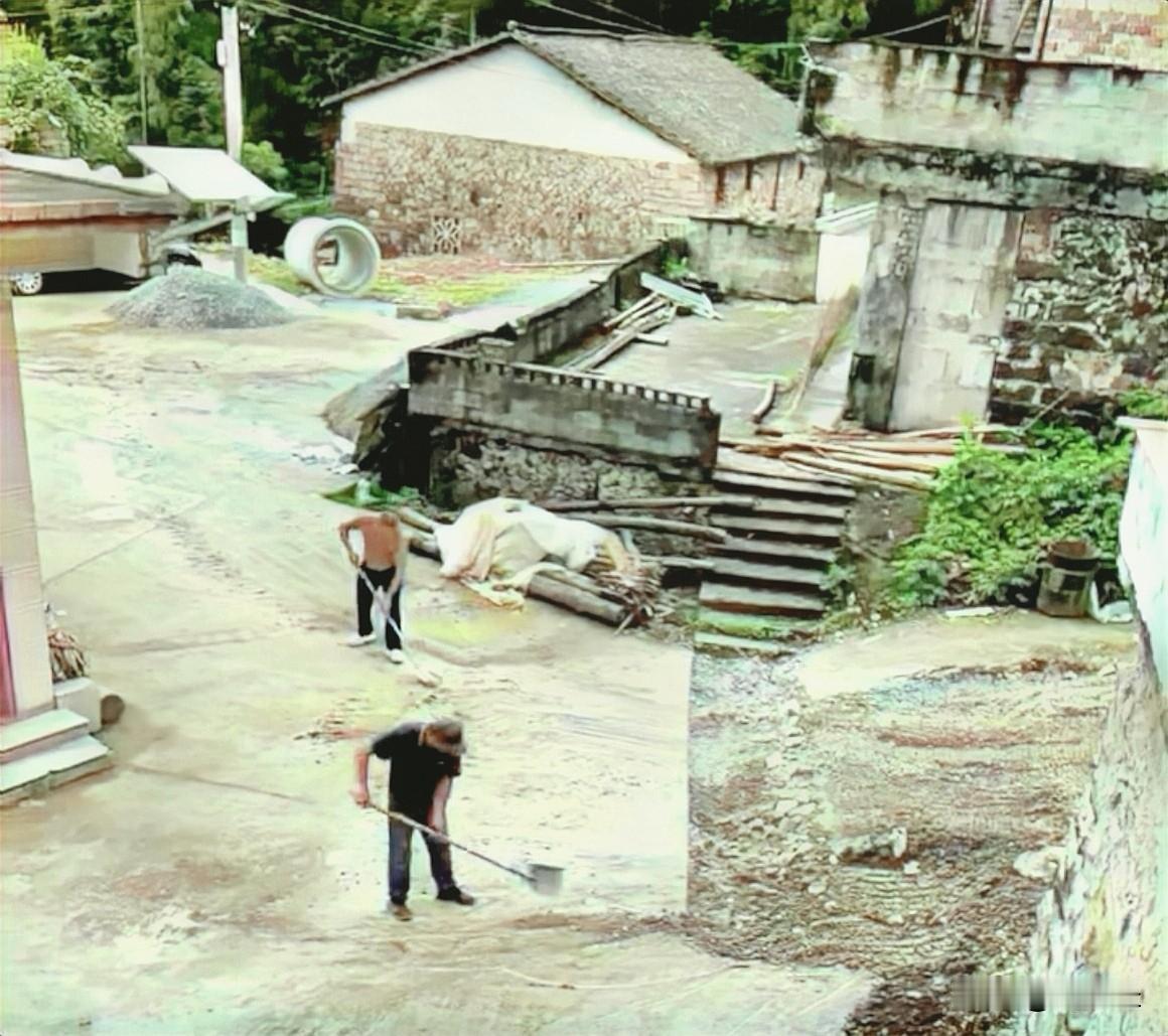 分享一张超有意义的乡村美景图！画面里两个农民正热火朝天地整治村容村貌。
就像浙江