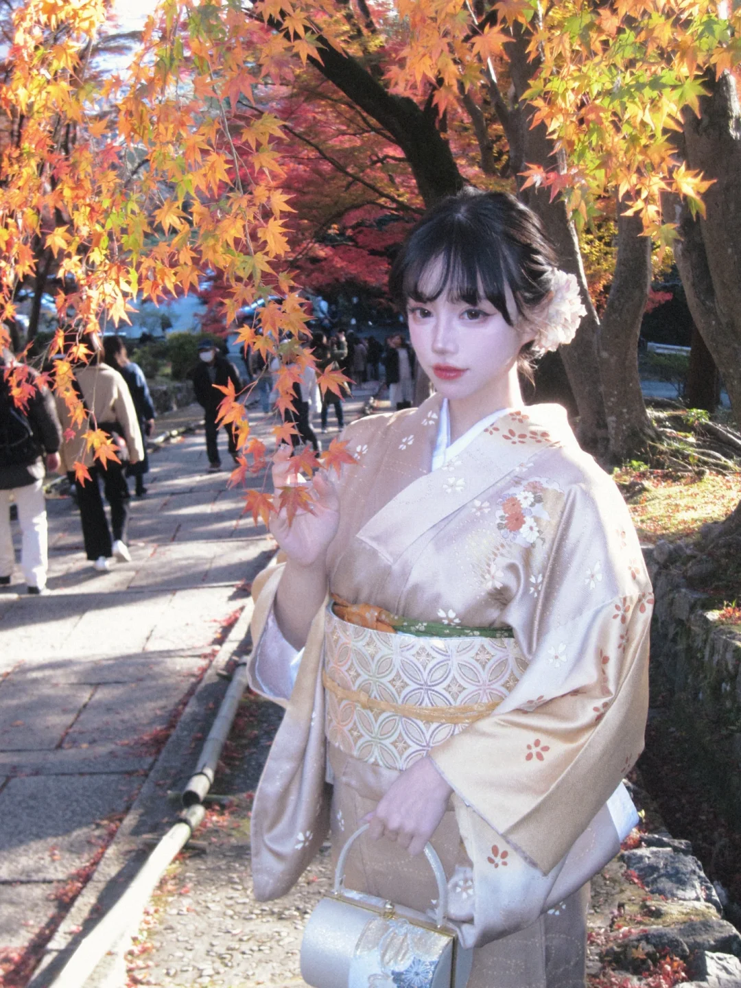 秋の枫🍁