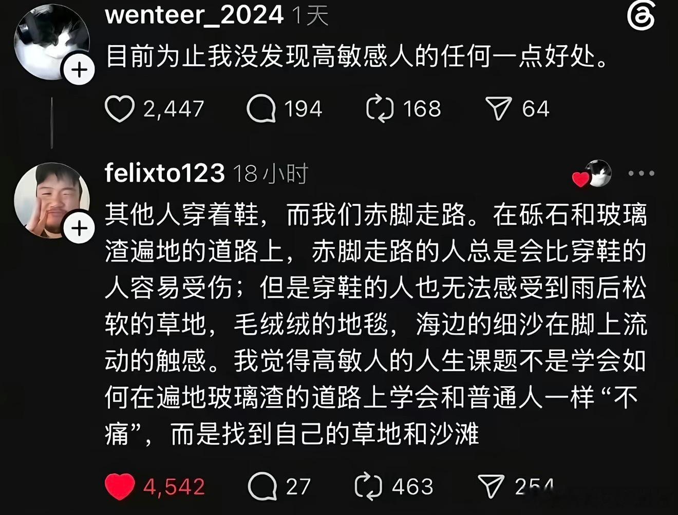 “高敏人的人生课题不是学会如何在遍地玻璃渣的道路上学会和普通人一样“不痛”，而是