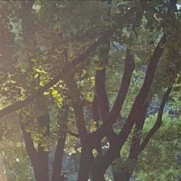 打击与挫败是成功的踏脚石，而不是绊脚石。人只要不失去方向，就不会失去自我。越努力