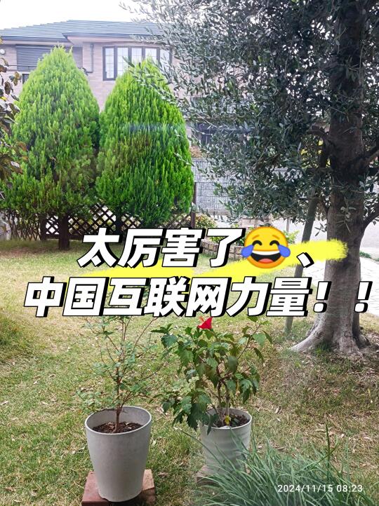 感谢平台及好心人让我重逢启蒙老师😭