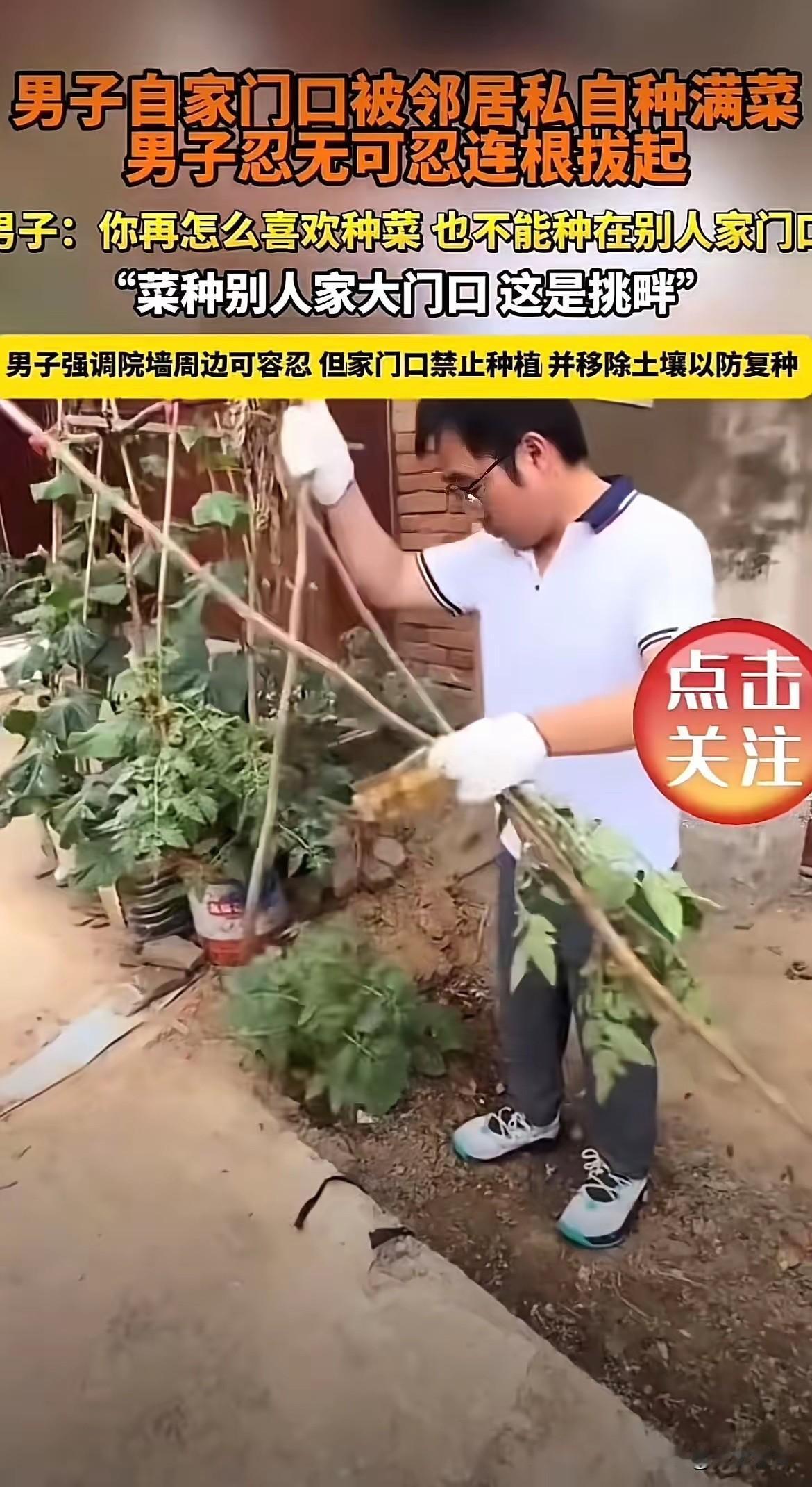 5月17日报道，河南一男子家门口空地被邻居私自种满蔬菜，多次沟通劝阻无效后，男子
