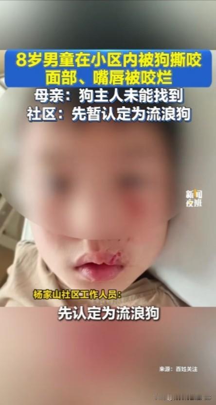 建议属地相关部门严肃治理抓捕流浪狗，未栓绳的狗，建议一律没收，处死，保障人民群众