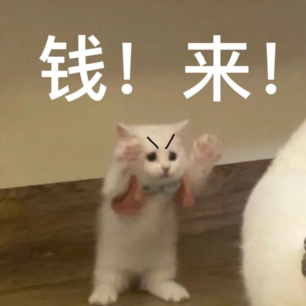 搞笑表情，让聊天更有趣。 #表情包# ​​​