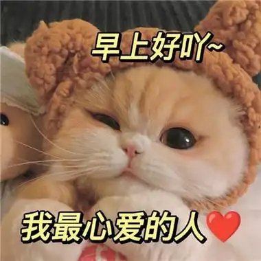 坚持不结婚的人最适合结婚现在好多人结婚像赶KPI，反倒那些不急着结的是真在等对的