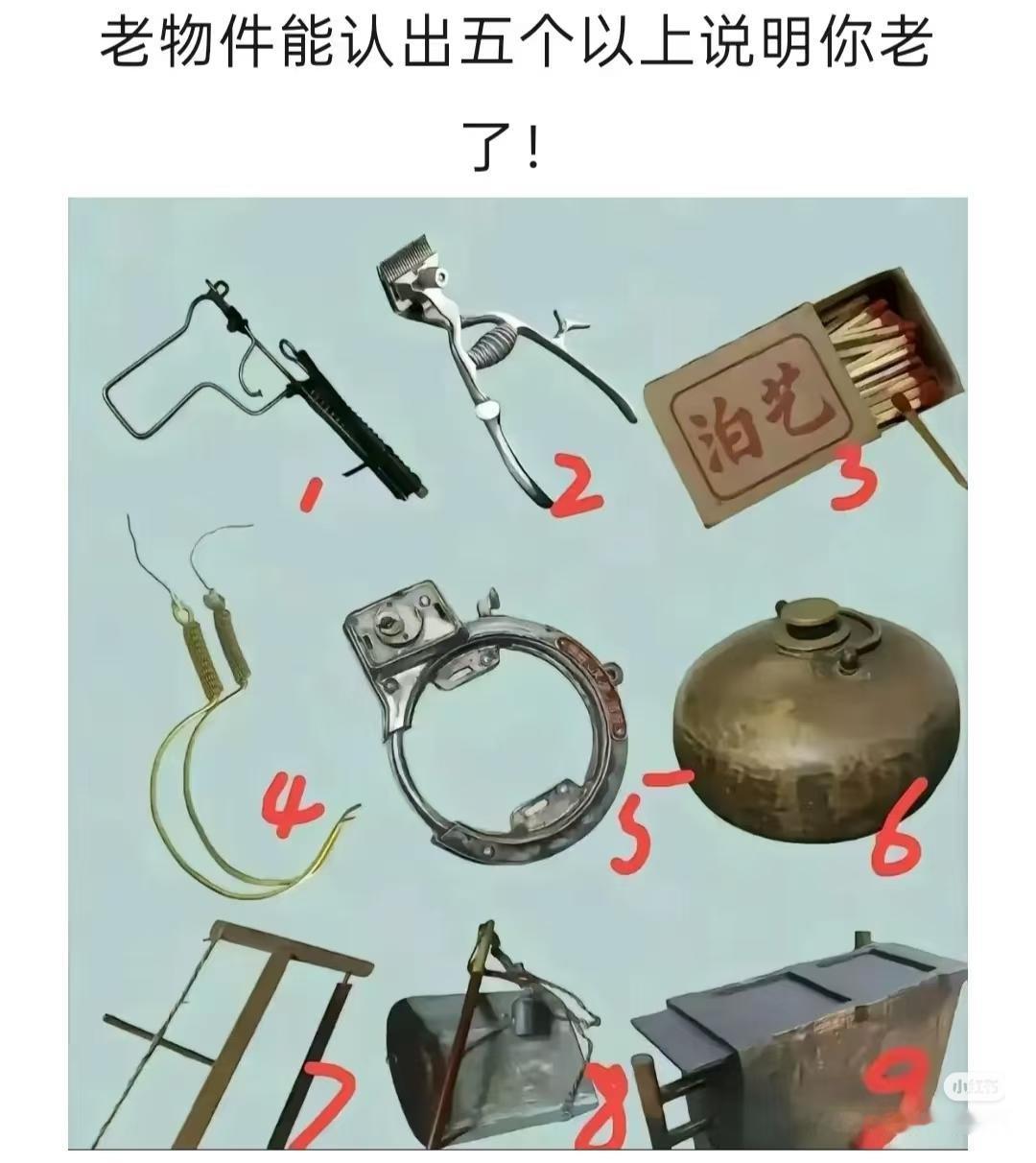 5号，8号，9号，没见过，其它的都见过，谁知道是什么？你们呢？[笑哭]